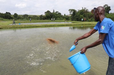 Autosuffisance alimentaire : des projets à l’endroit des femmes et des jeunes pour renforcer la production animale et halieutique