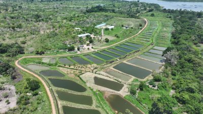 Autosuffisance en ressources halieutiques et création d’emploi : Le gouvernement multiplie les initiatives qui rassurent