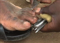 Coupeurs d’ongles ambulants, le métier nourrit son homme
