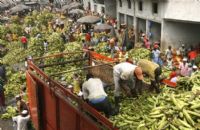 Commerce de vivrier : 35 camions interdits de décharger à Abobo