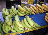 Une pénurie de banane plantain constatée au marché de Koun-Fao