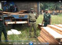 Bingerville - Saisie de bois frauduleux.