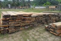 Marché du bois : les scieurs clandestins demandent la légalisation de leur métier