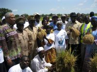 Boundiali: Lancement  de la 3e édition des journées  de l’administration agricoles  délocalisées