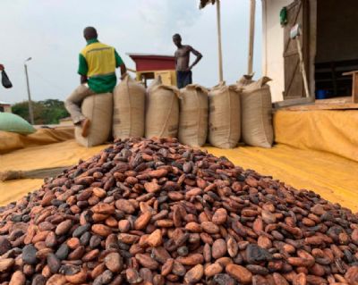 Café-Cacao : l’ANAPROCI demande la révision du système de commercialisation