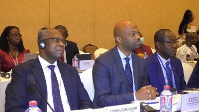 Cacao durable: la Côte d’Ivoire, le Ghana et les industriels  signent un pacte économique