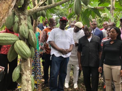 Cacao : Le porte-parole des Pays Producteurs de l’ICCO visite un centre d’Excellence de traitement post-récolte du Cacao