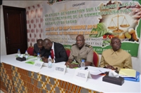 Le conseil du café-cacao organise un atelier de renforcement des capacités des magistrats sur le système de commercialisation du café-cacao