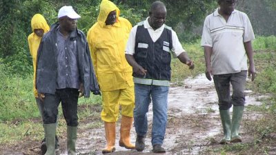 Campagne 2023 du projet soja : 1 050 jeunes, dont 120 filles inscrits sur un total de 2 500 producteurs