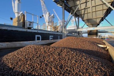 Campagne cacao 2025-2026 : 70 % de la production déjà acheminée vers les ports et 2800 milliards FCFA distribués aux producteurs (Feature)