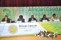 Depuis Luanda, le Caucus africain promet une aide financière