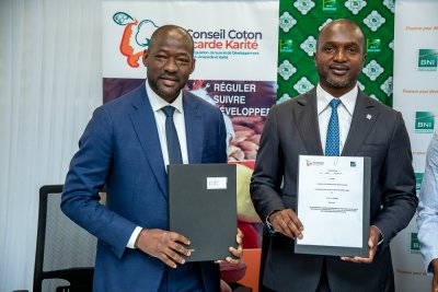Filière anacarde : la BNI, le Conseil du Coton et de l’Anacarde et les transformateurs nationaux unissent leurs forces pour renforcer la transformation locale