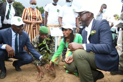 Côte d'Ivoire: 28,5 millions d'arbres déjà plantés sur 50 millions visés en 2021