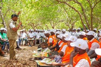Clôture de sensibilisation à Kouto : La qualité au cœur de la compétitivité de l’anacarde 2026