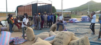 Commercialisation de l'anacarde : La recette gagnante du Sous-préfet de Booko pour soulager les producteurs