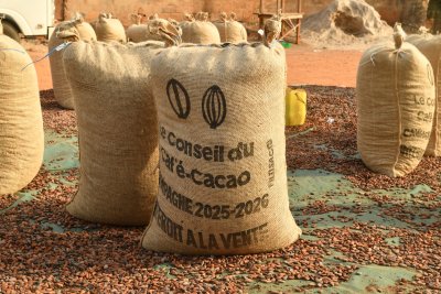Commercialisation du cacao : l'enlèvement des stocks résiduels se poursuit dans les délégations régionales du Conseil du café-cacao