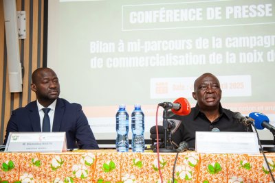 Côte d'Ivoire : Bilan positif à mi-parcours pour la campagne de commercialisation de la noix de cajou 2025