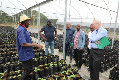 Coopération : Le responsable des opérations de la banque mondiale satisfait des activités du Projet de Développement des Chaines de Valeurs Vivrières