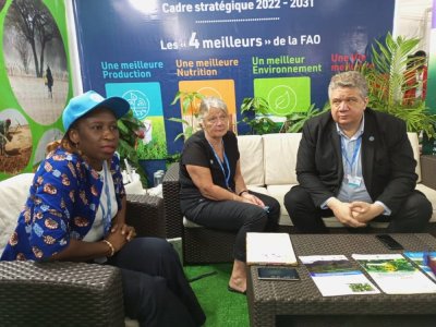 COP 15: la FAO pour un changement des modes de production agricole