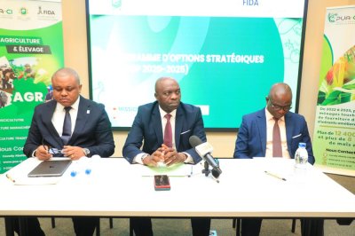 Secteur agricole: La révision annuelle du programme stratégique du FIDA au coeur d'un atelier à Abidjan
