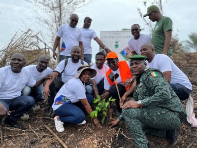 Côte d'Ivoire : Bolloré lance une opération de reboisement dans la boucle du Cacao