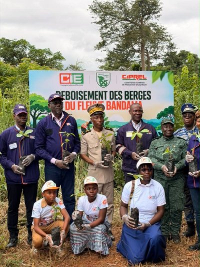 Côte d'Ivoire : La CIE et la CIPREL s'engagent pour l'environnement en reboisant les berges du Bandama