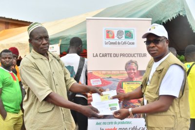 Côte d'Ivoire: le Conseil du Café-Cacao accélère la production et la distribution des cartes du producteur