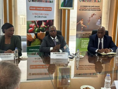 Côte d’Ivoire: le Conseil Café-Cacao porte un projet de Stratégies d’amélioration des revenus des ménages producteurs de cacao 