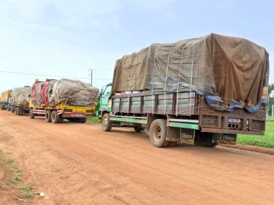 Côte d’Ivoire : un pisteur condamné à Odienné pour tentative d’exportation illicite de noix de cajou