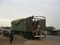 Pogo/ 8 tonnes d’anacarde en partance pour le Burkina Faso interceptées