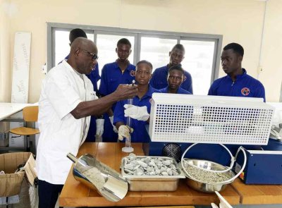 DAIP : un outil au service de l'apprentissage et de l'insertion professionnelle des jeunes