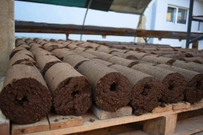 De la pulpe aux flammes : Yassine Khelifi révolutionne la gestion des résidus de l'huile d'olive