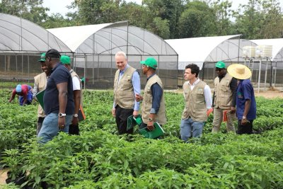 Développement des Chaînes de Valeurs Vivrières : Une délégation de la Banque mondiale évalue l'état d'exécution des projets