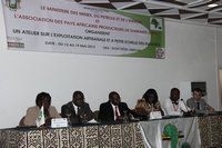 Exploitation artisanale et à petite échelle des diamants : les experts  africains échangent sur les meilleures pratiques