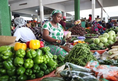 Discours de nouvel an : le Président Alassane Ouattara réaffirme l’ambition du gouvernement d’améliorer la productivité et l’approvisionnement des marchés en produits vivriers