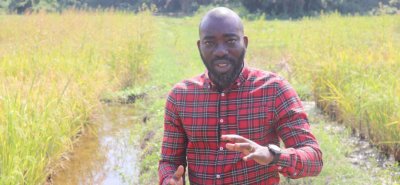 Dr Noumouha Ghislain (Chercheur): L’introduction de matériel tongil en Côte d’Ivoire va permettre de booster notre production locale (Interview)