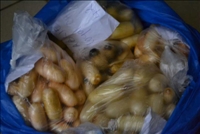 Abobo / Trafic de drogue	: Un collecteur d’ordures ménagères appréhendé avec plusieurs doses de drogue