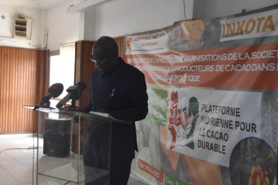 Durabilité du cacao : La Plateforme ivoirienne pour le cacao durable lancée
