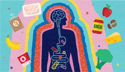 Les meilleurs aliments pour une vie saine et sans stress