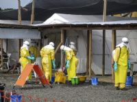 L’Afrique invitée à innover pour trouver des financements à la lutte contre les changements climatiques