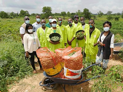 Emploi des jeunes : le gouvernement vise la création d’au moins 3 415 000 emplois à l’horizon 2025