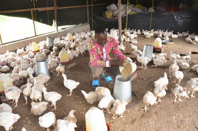 Emploi Jeunes : Des résultats probants qui témoignent des efforts du Gouvernement pour faciliter l'insertion socioprofessionnelle des jeunes