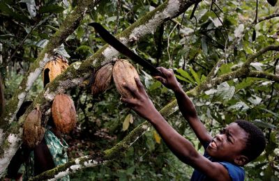 Réflexion sur la lutte contre le  travail des Enfants: 17  Premières Dames d’Afrique attendues à Abidjan
