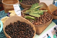 Tengréla: Les femmes veulent contribuer au développement du karité