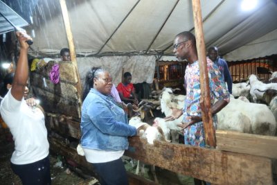 Fête de la Tabaski : le CNLVC exhorte les commerçants à vendre les moutons 