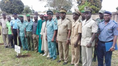 Journée nationale de la paix: Les populations du Bafing invitées à la préservation de la forêt