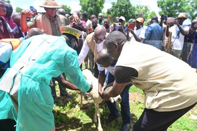 Côte d'Ivoire: le ministre Sidi Touré appelle les éleveurs de Minignan à faire vacciner tous leurs animaux