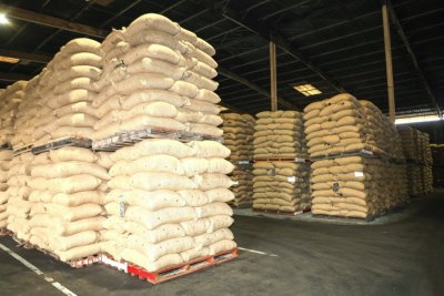 Filière café-cacao : Le Gouvernement décide l’octroi d’une subvention aux exportateurs nationaux pour les quatre prochaines campagnes