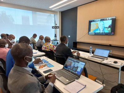 Filière riz: la FAO renforce l'expertise des acteurs ivoiriens pour une autosuffisance