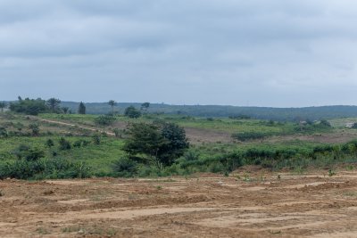 Foncier : Plusieurs acquéreurs de Songon-Ayewahi appellent les autorités à intervenir